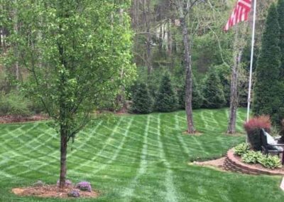 Lawn service 5